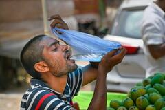 Single-Use Plastic Ban: প্লাস্টিক ত্যাগ করুন! বাড়িতে আনুন এই পরিবেশ-বান্ধব জিনিসগুলি