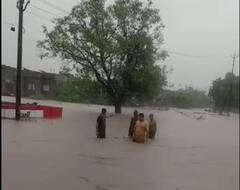 Gujarat Rain: જૂનાગઢના આ ગામમાં 6 ઈંચ વરસાદ ખાબકતા જળબંબાકાર