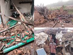 Surguja News: सुरगुजा में हाथियों का आतंक, लोगों के घर तोड़कर मचाई तबाही, फसलों को भी बनाया निशाना