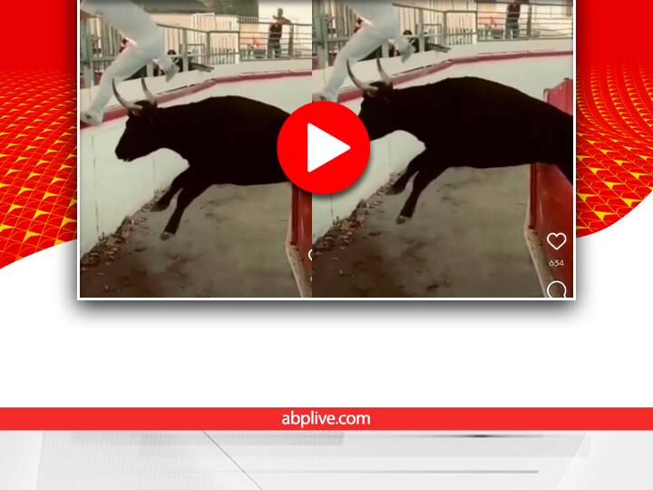 Watch: आगे लड़का पीछे सांड, देखिए कैसे बचेगी अब इस बेचारे की जान A bull enters the playground and runs after a boy playing there video viral on social media Watch: आगे लड़का पीछे सांड, देखिए कैसे बचेगी अब इस बेचारे की जान