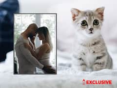Cat Owners Benefits: పిల్లులను పెంచితే ‘బెడ్ రూమ్‌’లో రెచ్చిపోతారట, కారణం తెలిస్తే ఆశ్చర్యపోతారు!