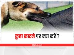 Dog Bite : कुत्ता काटने पर क्या करें और क्या न करें?