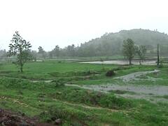 Photo : काय तो पाऊस, काय तो धबधबा; पाहा रायगडमधील विलोभनीय निसर्ग
