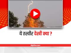 Sky Lightning: पेड़ पर गिरी आकाशीय बिजली, कैमरे में कैप्चर हुई अद्भुत तस्वीर