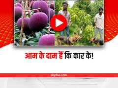 World's Costliest Mango: हर्ष गोयनका ने शेयर की दुनिया के सबसे महंगे आम' की तस्वीरें, दाम देखकर आंखे फट जाएंगी