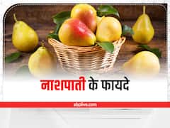 Health Tips: आयरन की कमी दूर कर, हीमोग्लोबिन बढ़ाता है नाशपाती, सीजन में जरूर खाएं