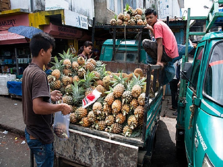 Pineapple farming: सिर्फ 20,000 रुपये के निवेश में होगी लाखों की कमाई, इस तरीके से करें अनानास की खेती