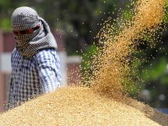 Gujarat News: गुजरात सरकार ने केंद्र से की गेहूं आवंटन को बढ़ाने की मांग, मंत्री ने कही ये बात