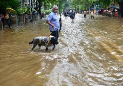 Mumbai Rain: बारिश से तालाब बनी मुंबई की सड़कें, जलजमाव से बेहाल हुए लोग, देखें तस्वीरें