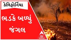 કેલિફોર્નિયાનું જંગલ ભડકે બળ્યુ, 3 હજાર એકરથી વધુ વિસ્તાર બળીને ખાખ