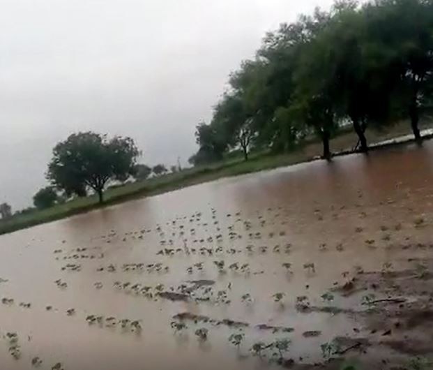 Wardha Rain : वर्धा जिल्ह्यात जोरदार पाऊस,  देउरवाडामधील 75 घरात शिरलं पाणी 