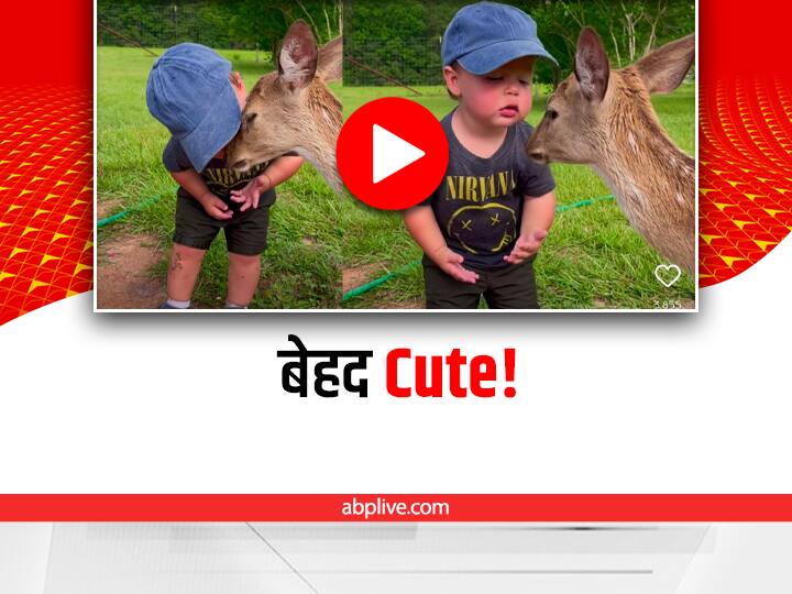 A small child kissing a deer baby is shown in the video viral on social media International Kissing Day: बच्चे ने किया हिरण के बच्चे को Kiss, वीडियो ने जीते लाखों दिल