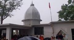 In Pics: बारिश के लिए हुई मेंढक की शादी, ढोल-नगारे के साथ निकली बारात, देखें तस्वीरें