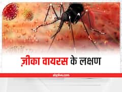 Zika Virous: जानिए क्या है जीका वायरस और क्या हैं जीका वायरस के लक्षण