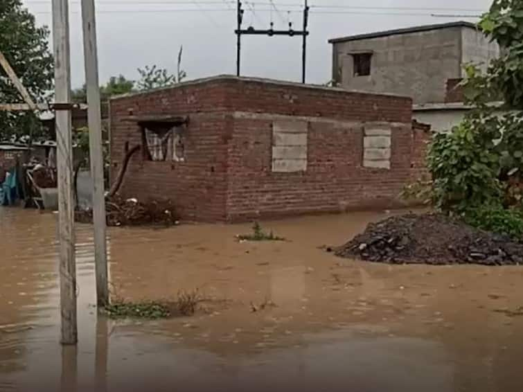 Heavy rains in Wardha district, 75 houses in Deurwada flooded Wardha Rain : वर्धा जिल्ह्यात जोरदार पाऊस,  देउरवाडामधील 75 घरात शिरलं पाणी 