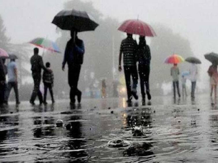 What exactly to take care of in the rainy season? Rainy season : आनंद पावसाचा, क्षण दक्षतेचा, पावसाळ्यात नेमकी काय काळजी घ्यावी?