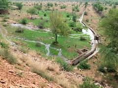 Rajasthan News: ऐसा बांध जो मानसून के आते ही होता है लबालब, फिर भी किसानों को नहीं मिलता इसका लाभ, ये है वजह