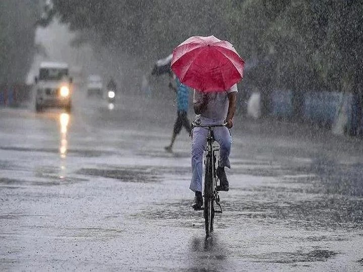 Rain Alert Mumbai Pune Satara Konkan intermittent intense spells for next 2 to 3 hrs gadchiroli gondiya flood Monsoon Live Updates Rain Alert : राज्याला पावसानं झोडपलं; मुंबई, पुण्यासह कोकणात मुसळधार पावसाचा इशारा