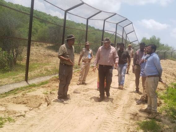 Bundi News: रामगढ़ अभयारण्य में जल्द छोड़ी जाएंगी दो बाघिन, वन अधिकारियों ने व्यवस्था का लिया जायजा Bundi News: रामगढ़ अभयारण्य में जल्द छोड़ी जाएंगी दो बाघिन, वन अधिकारियों ने व्यवस्था का लिया जायजा