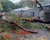 Pune News: पुण्याला पावसाचा फटका!  5 तासात 13 झाडे कोसळली; कोणतीही जिवितहानी नाही