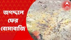 Jagaddal Bombing: উত্তর ২৪ পরগনার জগদ্দলে বোমাবাজি। গতকাল রাতে ১৮ নম্বর গলিতে বোমাবাজি হয়। Bangla News