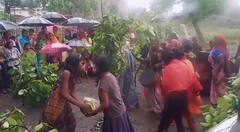 In Pics: बारिश के लिए हुई मेंढक की शादी, ढोल-नगारे के साथ निकली बारात, देखें तस्वीरें