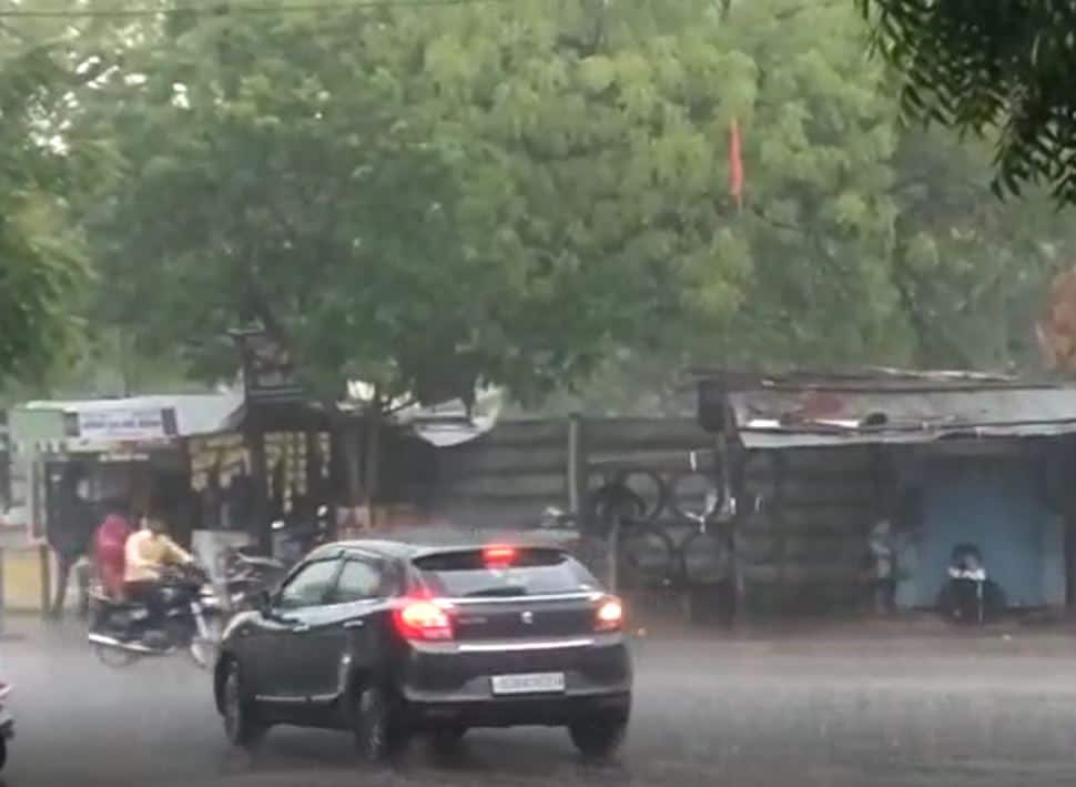 Gujarat Rain: 219 tehsil gets rain fall in last 24 hours in state Gujarat Rain: રાજ્યમાં છેલ્લા 24 કલાકમાં 219 તાલુકામાં વરસાદ, સૌરાષ્ટ્રમાં સાર્વત્રિક મેઘમહેર