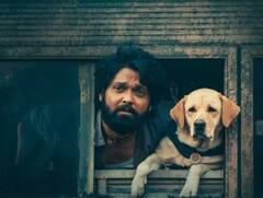 777 Charlie : '777 चार्ली'ने 25 दिवसांत केली कोट्यवधींची कमाई; रक्षित करणार सेवाभावी संस्थांना आर्थिक मदत