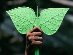 ADMK Symbol : யாருக்கு அதிமுக...? இரட்டை இலை வழக்கு... நாளைக்கு விசாரணை..!