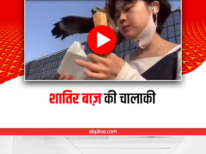eagle snatches icecream from girls hand video viral on social media Watch: लड़की के हाथ से बाज़ ने छीनी आइसक्रीम, रिएक्शन का वीडियो हुआ वायरल
