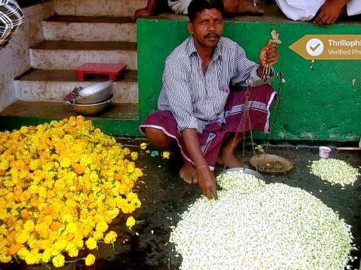 தேனி: விற்பனையாகாமல் தேங்கிய மல்லிகை பூக்கள்.. செண்ட் தொழிற்சாலைக்கு அனுப்பிவைப்பு..
