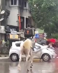 ઘોડા પર ભોજન પહોંચાડવા આવ્યો રોયલ ડિલિવરી બોય, હવે swiggy ઇનામ આપવા શોધી રહી છે, જુઓ વાયરલ વીડિયો