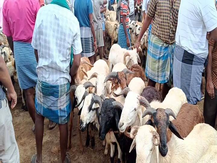 வேடசந்தூர்: பக்ரீத்தை முன்னிட்டு நடந்த ஆட்டுச் சந்தையில் ரூ. 2 கோடிக்கு ஆடுகள் விற்பனை - வியாபாரிகள் மகிழ்ச்சி