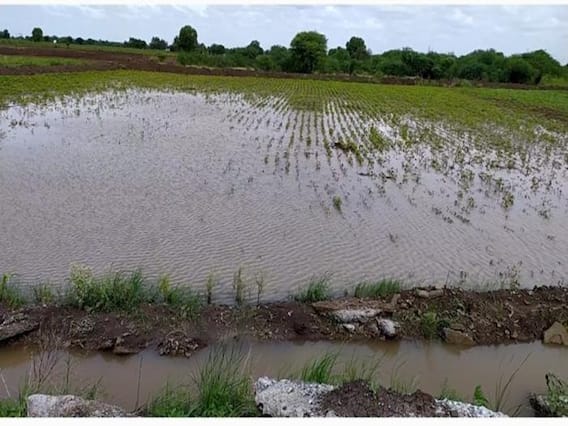 Marathwada: मराठवाड्यातील दुबार पेरणीचे संकट टळले; पहा कोणत्या जिल्ह्यात किती पाऊस Marathwada: मराठवाड्यातील दुबार पेरणीचे संकट टळले; पहा कोणत्या जिल्ह्यात किती पाऊस