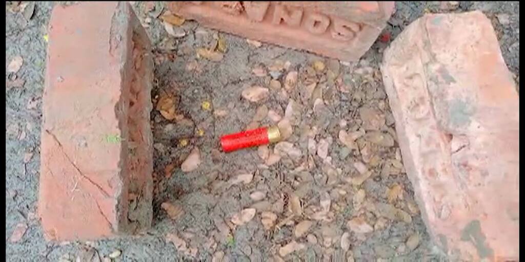 three including one TMC leader shot and stabbed to death in South 24 Paraganas Canning South 24 Paraganas: তৃণমূল নেতা-সহ ৩ জনকে গুলি করে কুপিয়ে খুনের অভিযোগ ক্যানিংয়ে