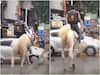 Mumbai Viral Video: मुंबई में भारी बारिश के बीच घोड़े पर सवार होकर फूड डिलीवरी करने पहुंचा शख्स, वीडियो Viral