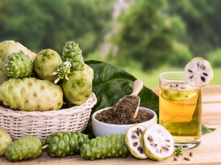 Noni Farming: कलयुग की 'संजीवनी' उगाकर कमायें बंपर पैसा, व्यावसायिक खेती और प्रोसेसिंग से मिलेगा डबल मुनाफा