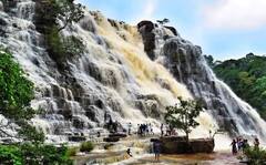 In Pics: बारिश के साथ गुलजार हुए बस्तर के फेमस वॉटरफॉल्स, चित्रकोट और तीरथगढ़ झरने की खूबसूरती में लगे चार चांद