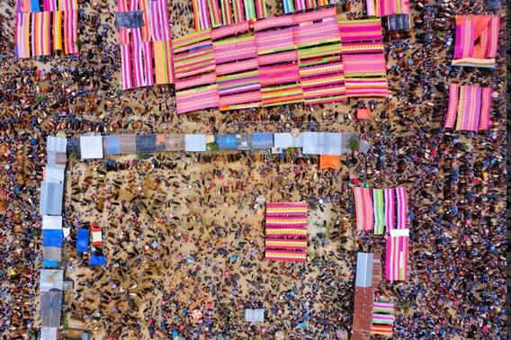 Animal Trafficking: भारत से बांग्लादेश कैसे पहुंचते हैं गोवंश? | Special Report