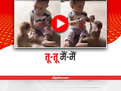 Viral: बंदर और छोटी बच्ची के बीच नमकीन के पैकेट को लेकर हुई खींचतान, देखिए ये क्यूट वीडियो