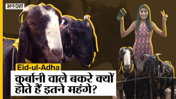 Eid-ul-Adha: कुर्बानी वाले बकरे क्यों होते हैं इतने महंगे? Meena Bazar | Bakra Eid | Jama Masjid
