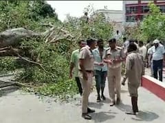 Chandigarh: 1 School Student Dead, 18 Injured As Tree Falls In Sector 9