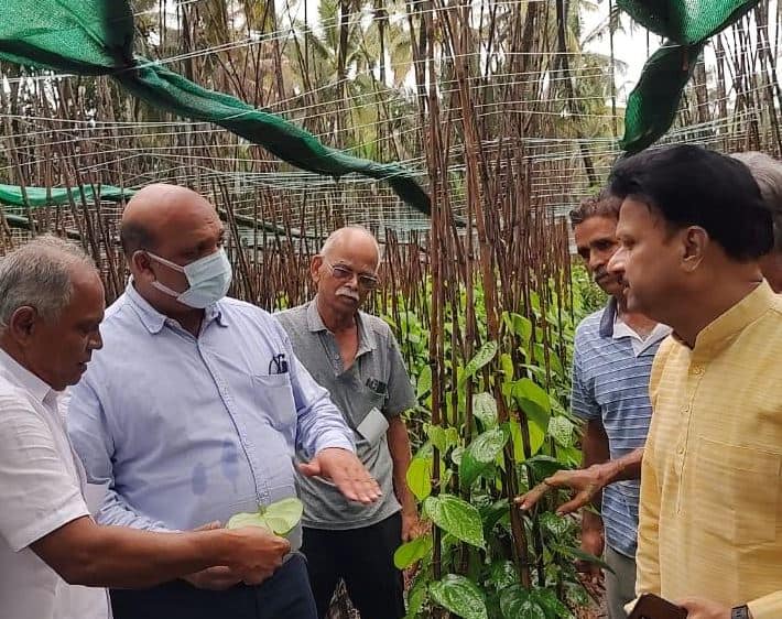 Palghar News Railway officials DRM promise to solve the problems of Pan Coconut growers Farmers Palghar : पालघरच्या पानाला 'अच्छे दिन' येणार! पान बागायतदारांचे प्रश्न सोडवण्याचं रेल्वे अधिकाऱ्यांचं आश्वासन