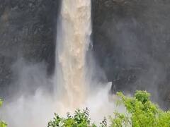 PHOTO : पालघरमधील मनोहारी आणि विलोभनीय धबधबे!