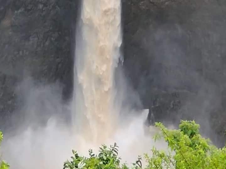 मुंबईलगत असलेल्या पालघर जिल्ह्यामधील जव्हार हे मिनी महाबळेश्वर समजलं जातं. पावसाळा सुरु झाला की येथील वातावरण रमणीय बनते.