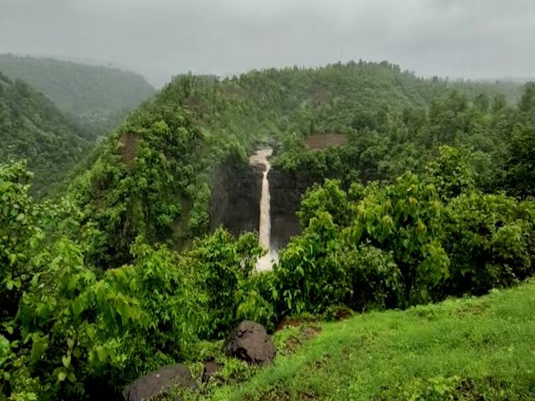 Maharashtra Palghar monsoon updated waterfalls began to overflow tourists increased Palghar : मिनी महाबळेश्वर ओळख असलेल्या पालघरमधील धबधबे ओसंडून वाहू लागले; पर्यटकांचा ओढा वाढला