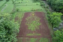 Mulshi Vitthal News: बोलावा विठ्ठल, पहावा विठ्ठल! मुळशीतील शेतकऱ्याची कमाल! भात शेतीत रोपांच्या सहाय्याने साकारली 'विठ्ठलाची मूर्ती'