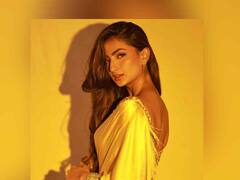 PHOTO : ‘बेबी डॉल में सोने दी...’, गोल्डन साडीत पलक तिवारीचा मनमोहक अंदाज!