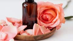 Rose Water For Skin: ত্বকের যত্নে গোলাপ জল কীভাবে কাজে লাগে? জেনে নিন