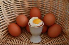 Egg Yolk Benefits: ডিমের কুসুম খেলে কি হৃদরোগের সম্ভাবনা বাড়ে?